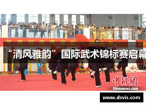 “清风雅韵”国际武术锦标赛启幕